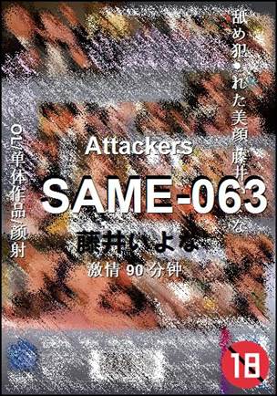 SAME-06390 