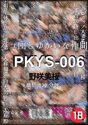 PKYS-006130 