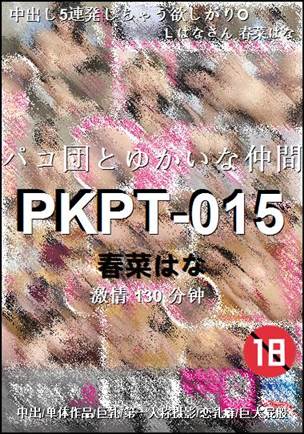 PKPT-015130 