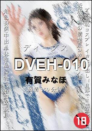 DVEH-010160 