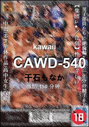 CAWD-540150 