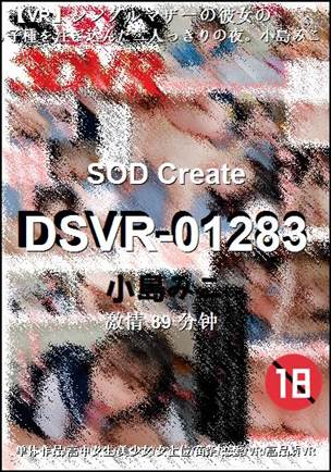 DSVR-0128389 