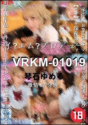VRKM-0101987 
