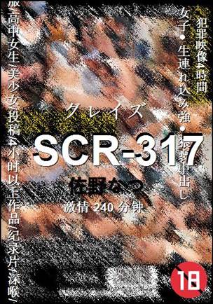 SCR-317240 