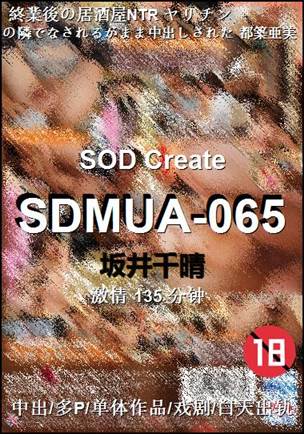 SDMUA-065135 