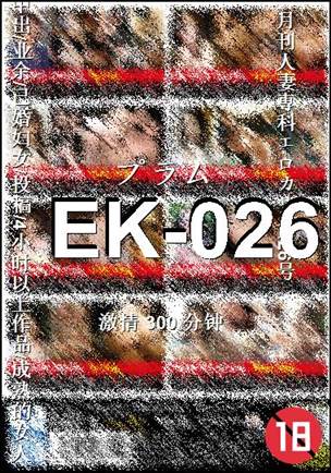 EK-026300 