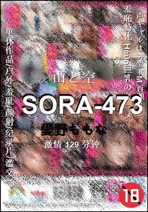 SORA-473129 
