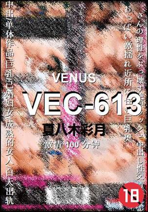 VEC-613100 
