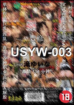 USYW-003116 