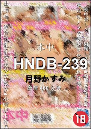 HNDB-239480 