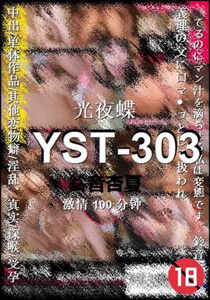 YST-303100 