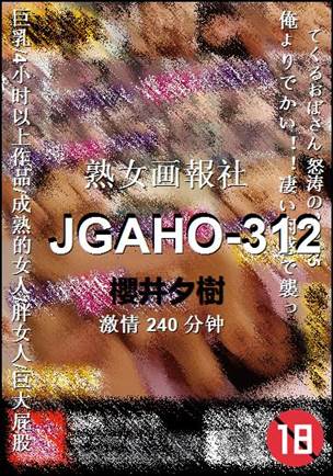 JGAHO-312240 
