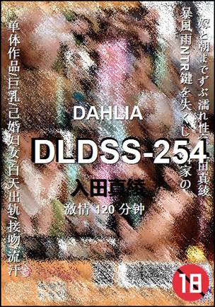 DLDSS-254120 