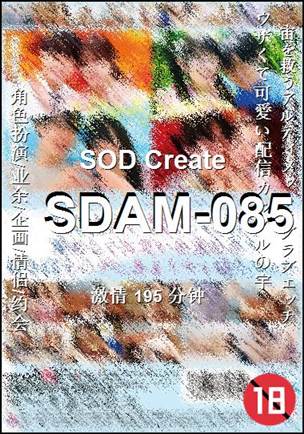 SDAM-085195 