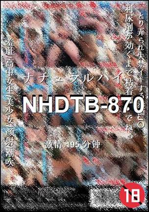 NHDTB-870195 
