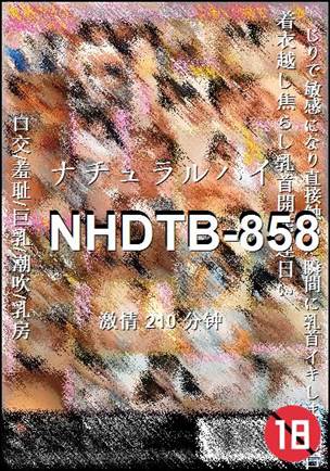 NHDTB-858210 