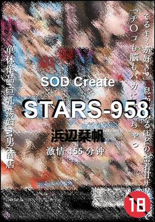 STARS-958155 