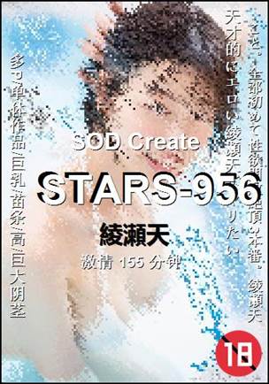STARS-956155 