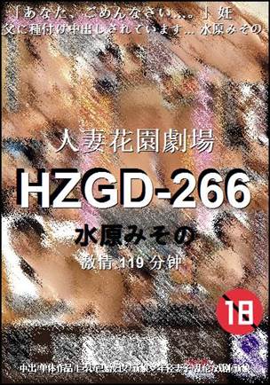 HZGD-266119 