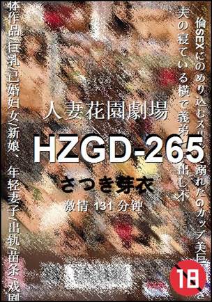HZGD-265131 