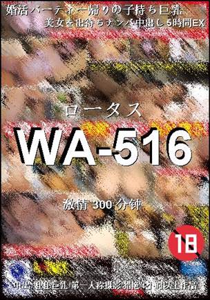 WA-516300 分钟