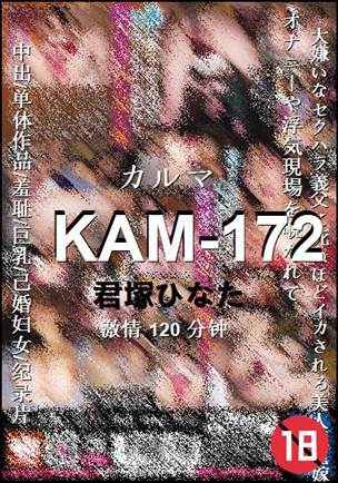 KAM-172120 