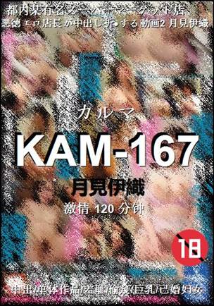 KAM-167120 