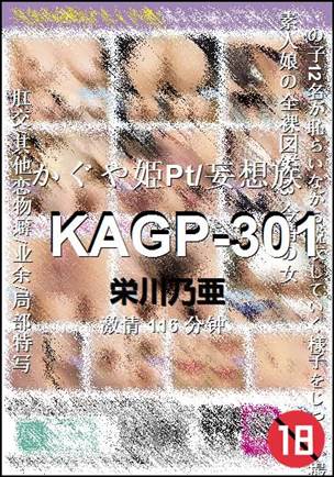 KAGP-301116 