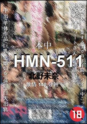 HMN-511140 分钟