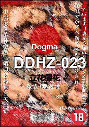 DDHZ-023112 