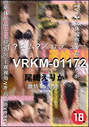 VRKM-0117285 