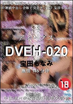 DVEH-020145 