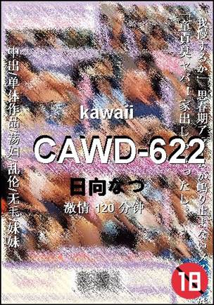 CAWD-622120 