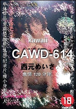 CAWD-614120 