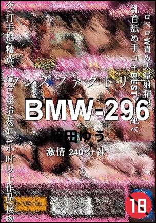 BMW-296240 