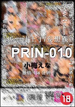 PRIN-010134 