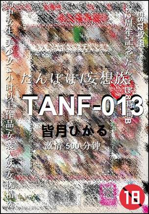 TANF-013500 