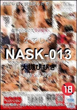 NASK-013243 