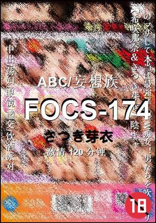 FOCS-174120 
