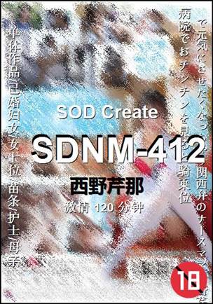 SDNM-412120 