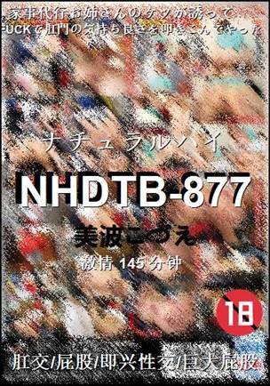 NHDTB-877145 