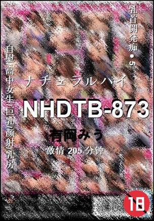 NHDTB-873205 