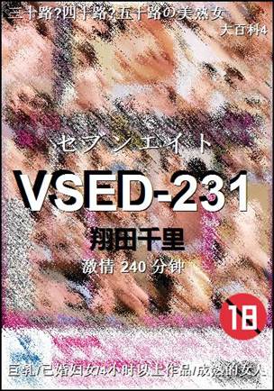 VSED-231240 