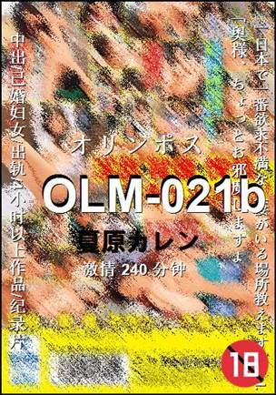OLM-021b240 
