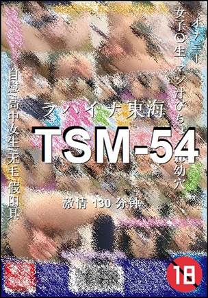 TSM-54130 分钟