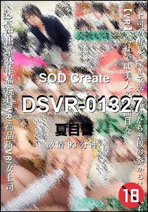 DSVR-0132793 