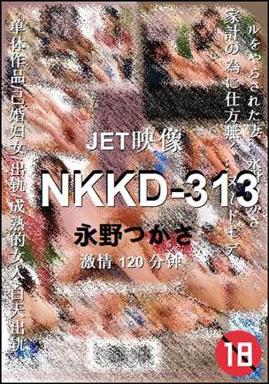 NKKD-313120 