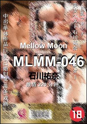 MLMM-046220 分钟