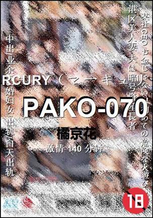 PAKO-070140 