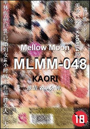 MLMM-048240 